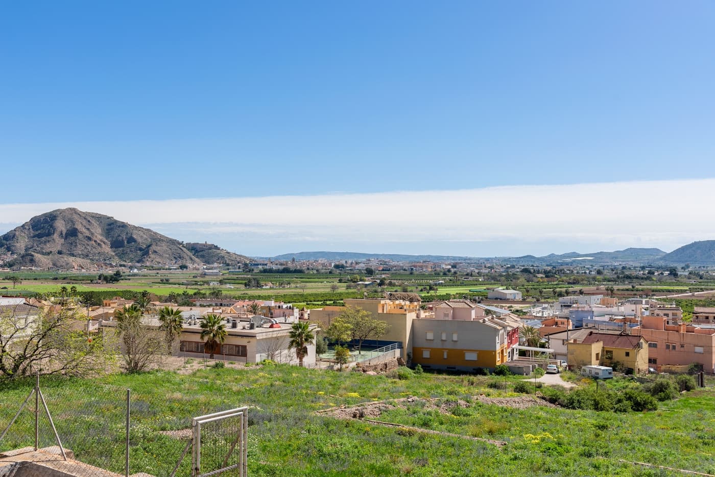 Finca – Orihuela: photo 13/48