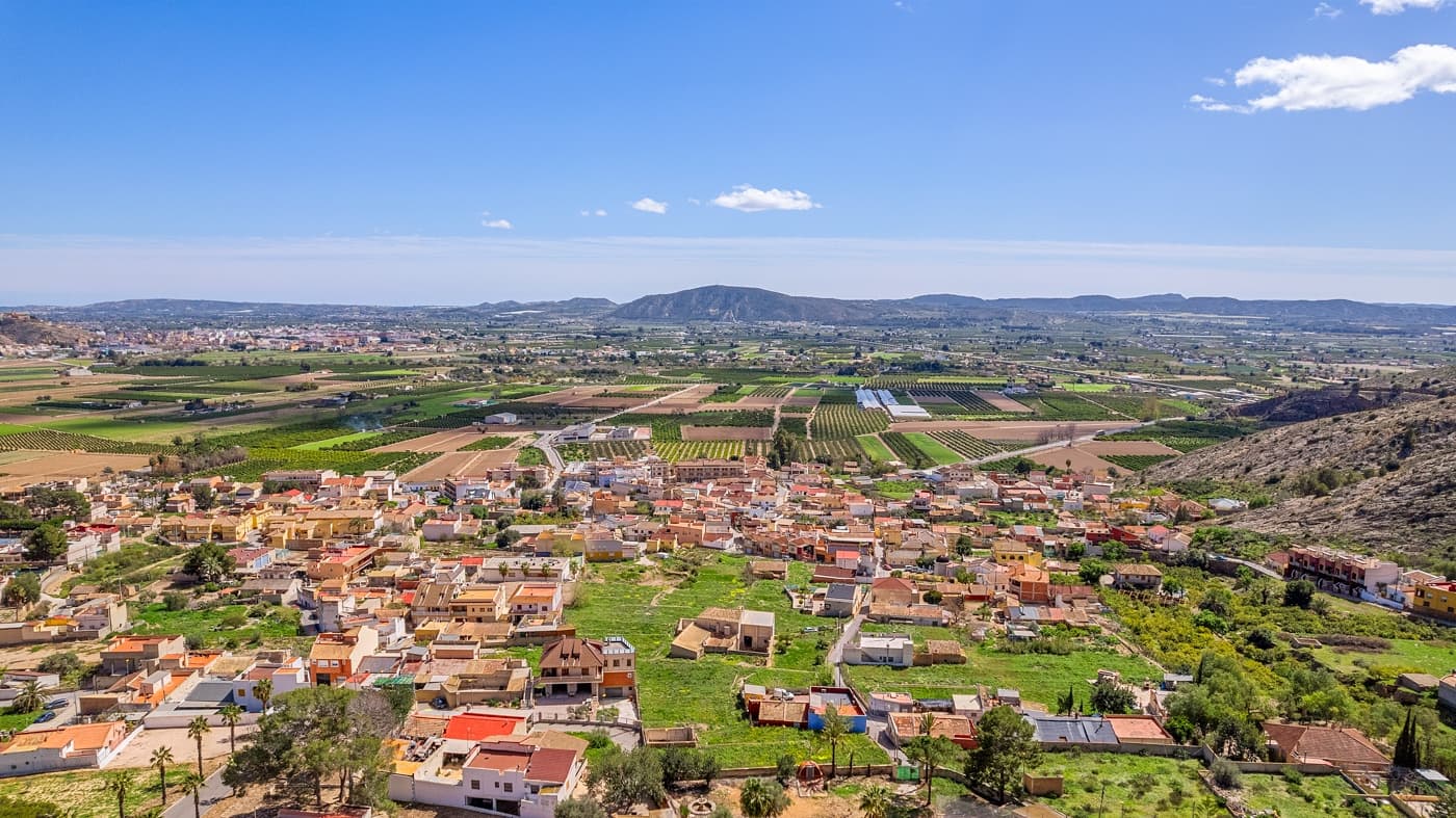 Finca – Orihuela: photo 8/48