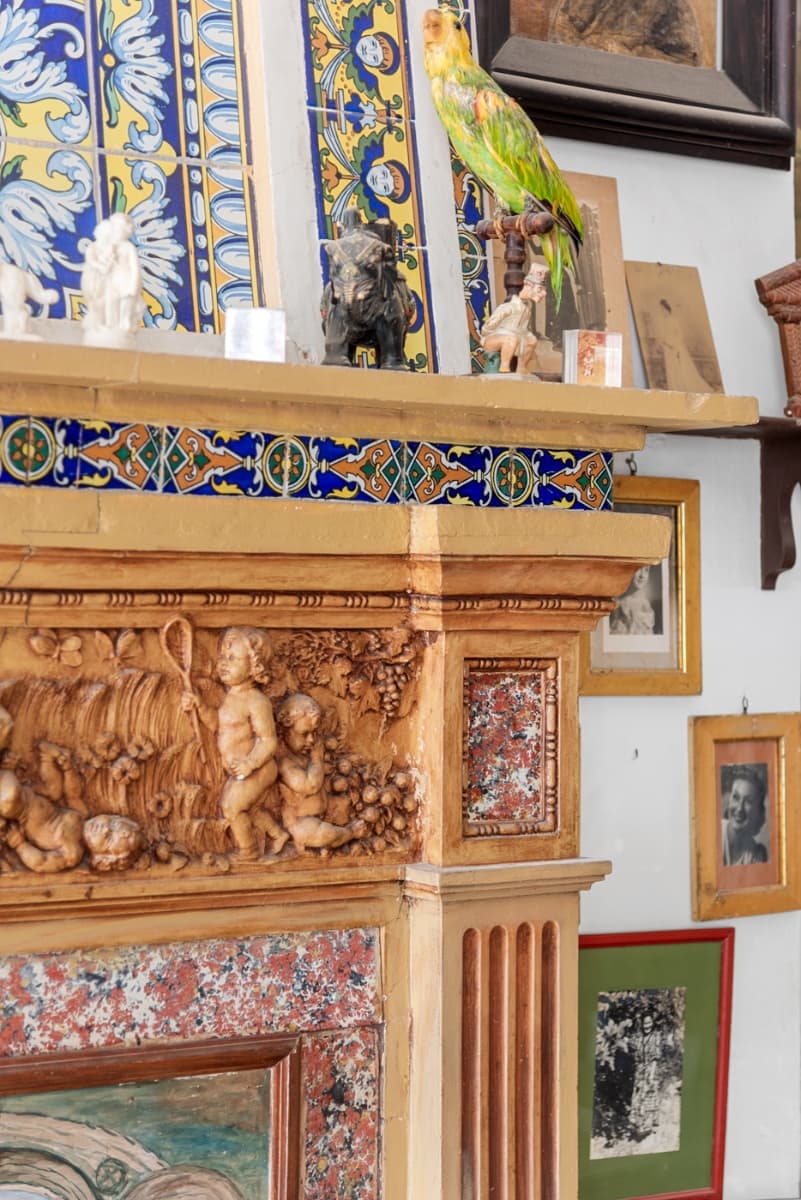 Finca – Orihuela: photo 15/48