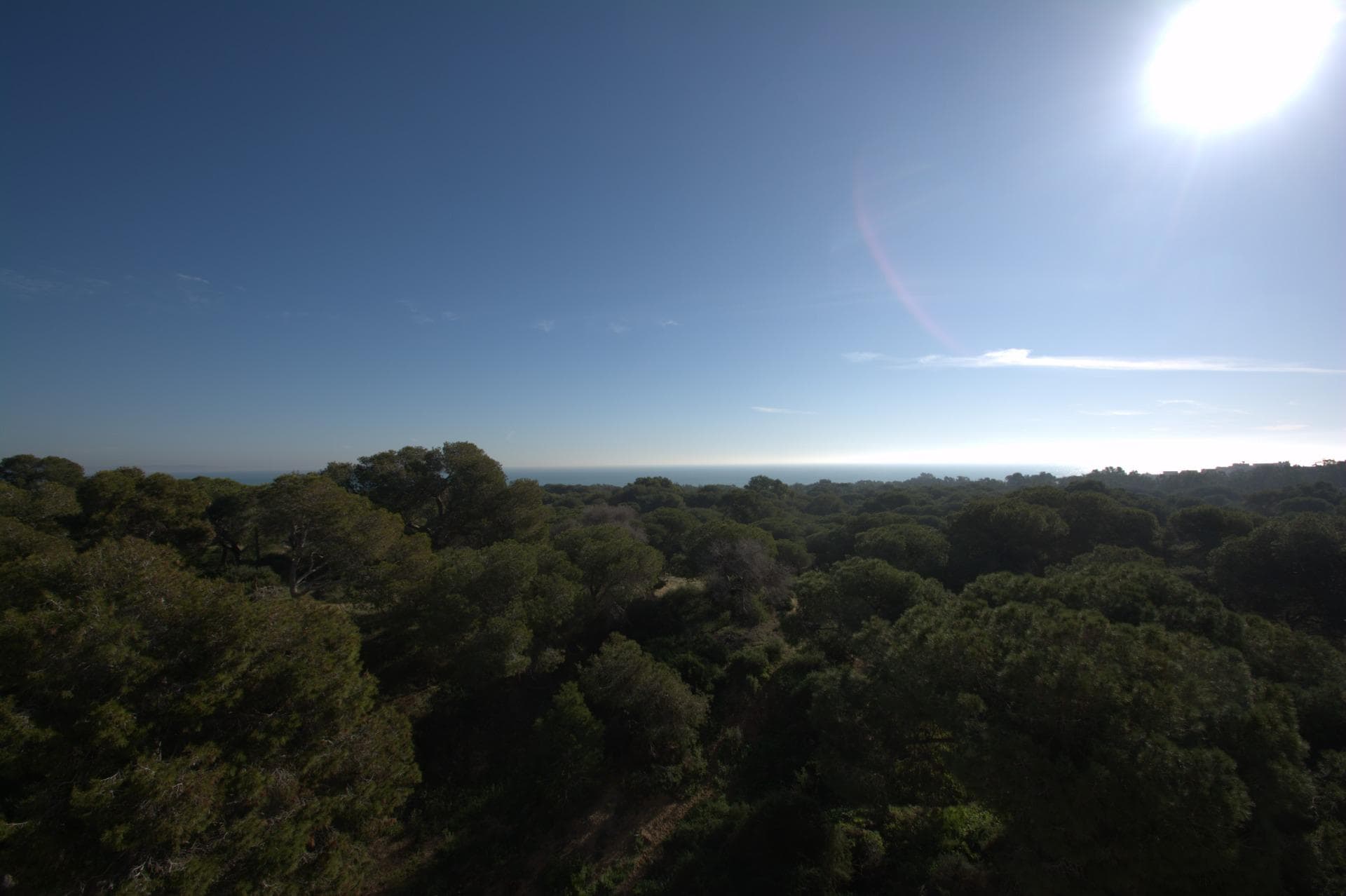 Penthouse – Guardamar del Segura: photo 14/16
