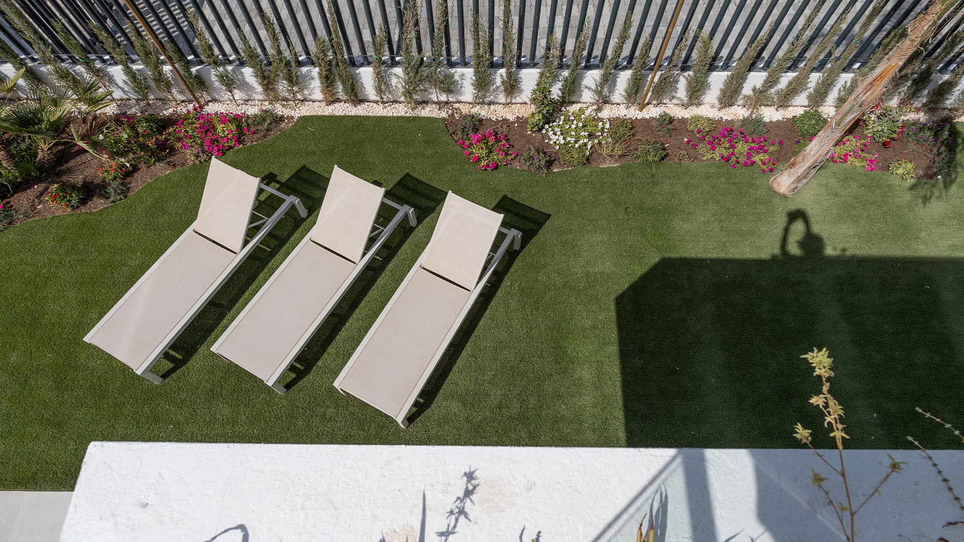 Apartment – Torrevieja (Alicante): photo 16/62