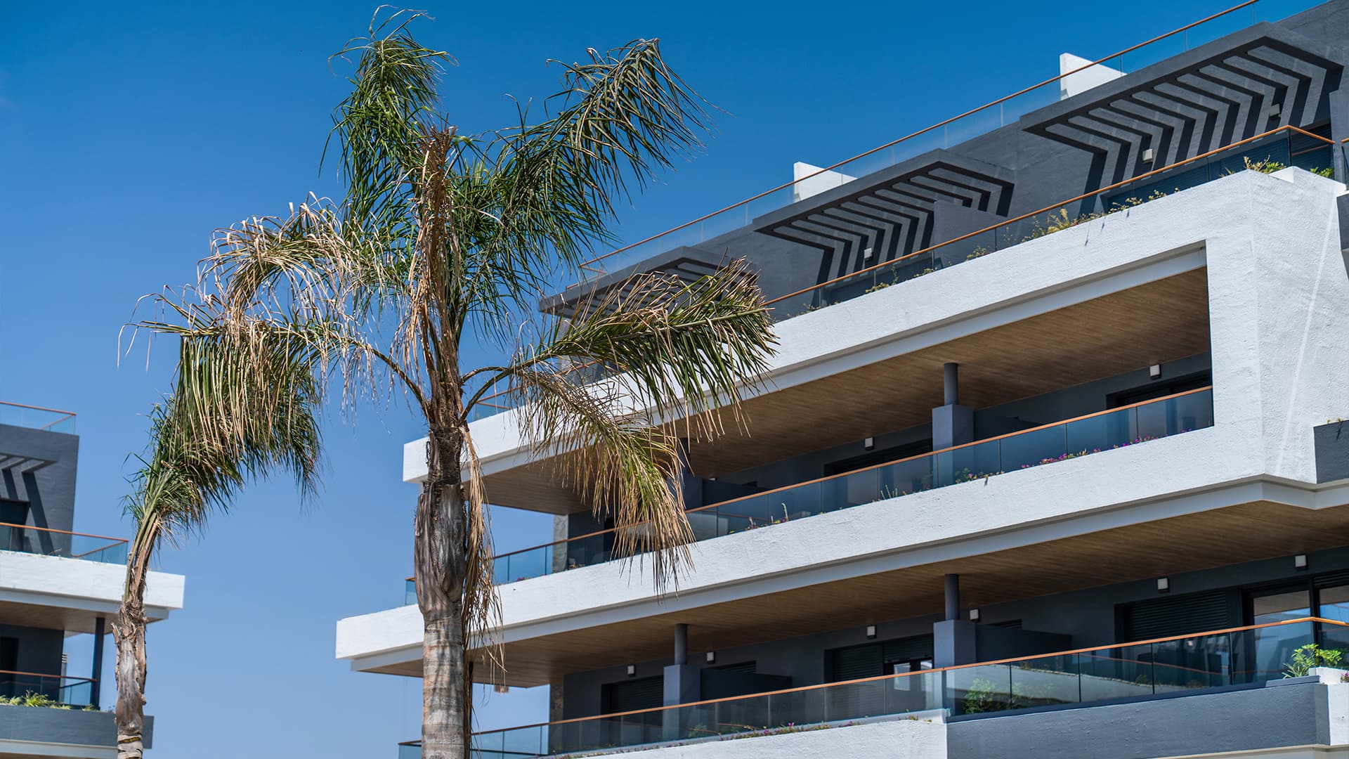 Apartment – Torrevieja (Alicante): photo 13/62