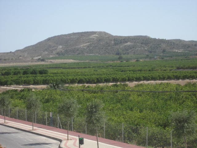 Algorfa — view of the town