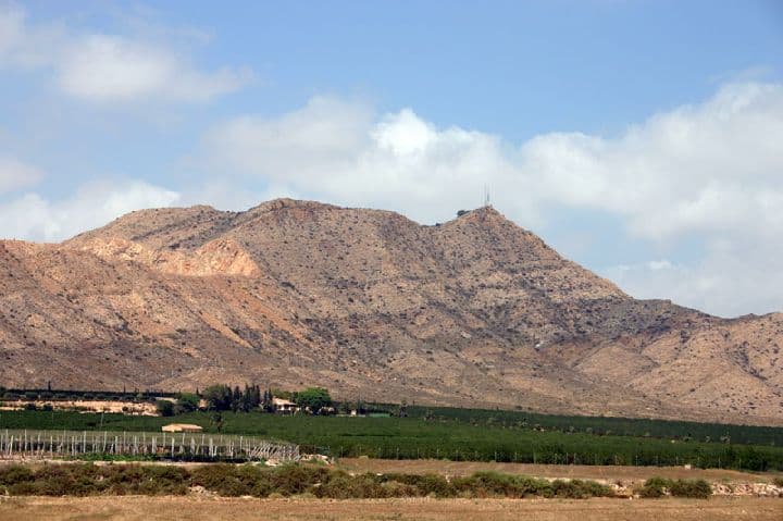 Torre Pacheco — view of the town