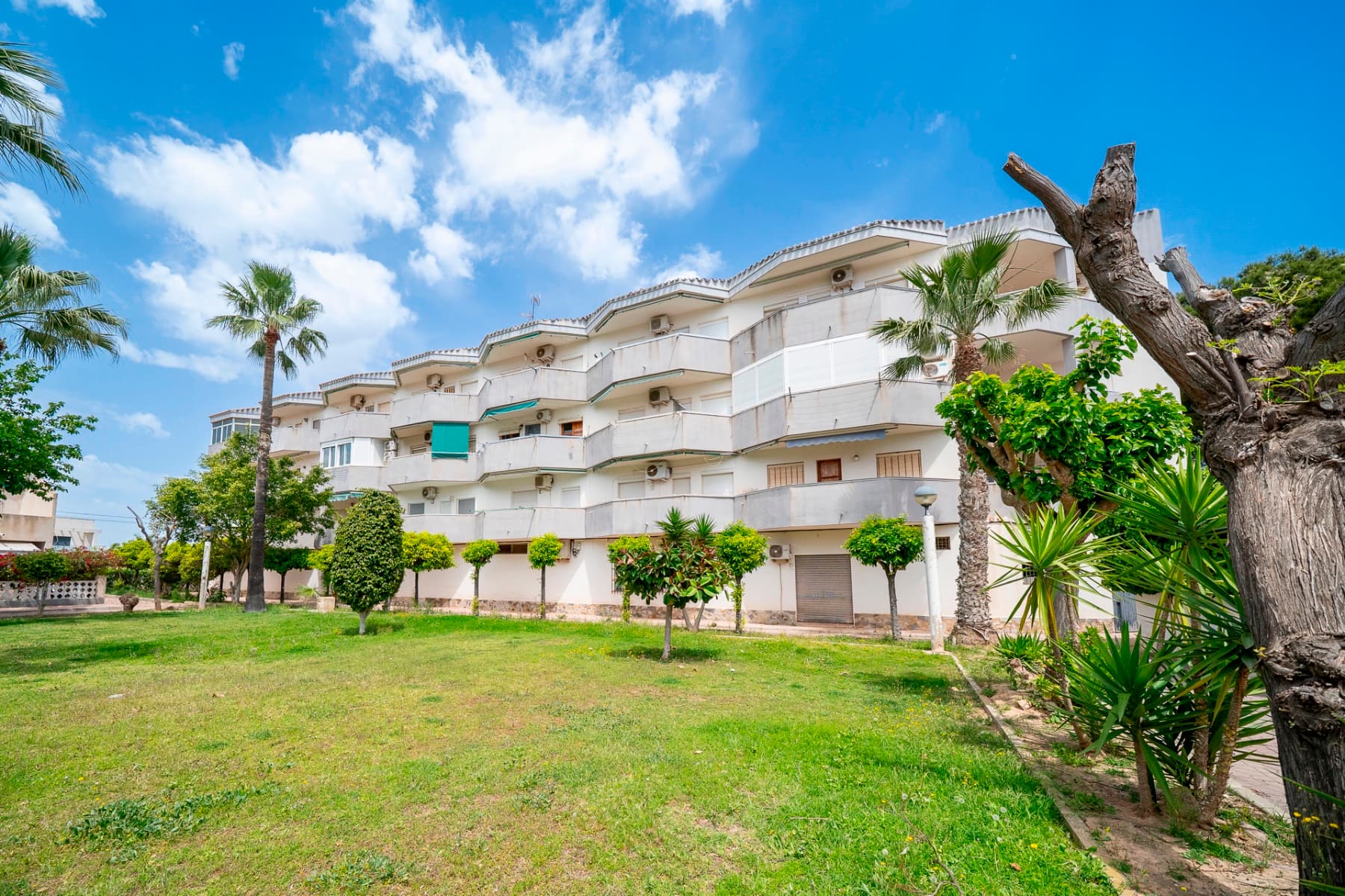 Apartment · Orihuela Costa